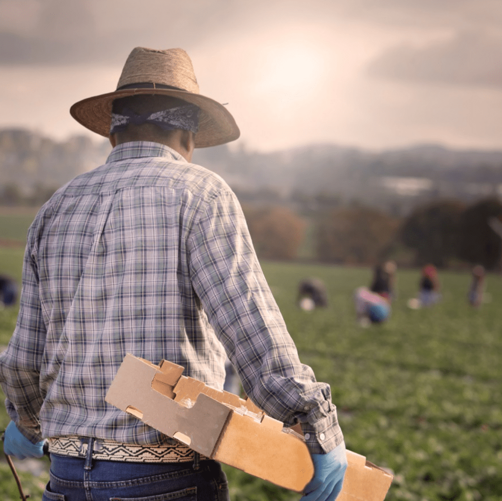 Farm and Food Workers Relief (FFWR) Program UMOS Building Better Futures